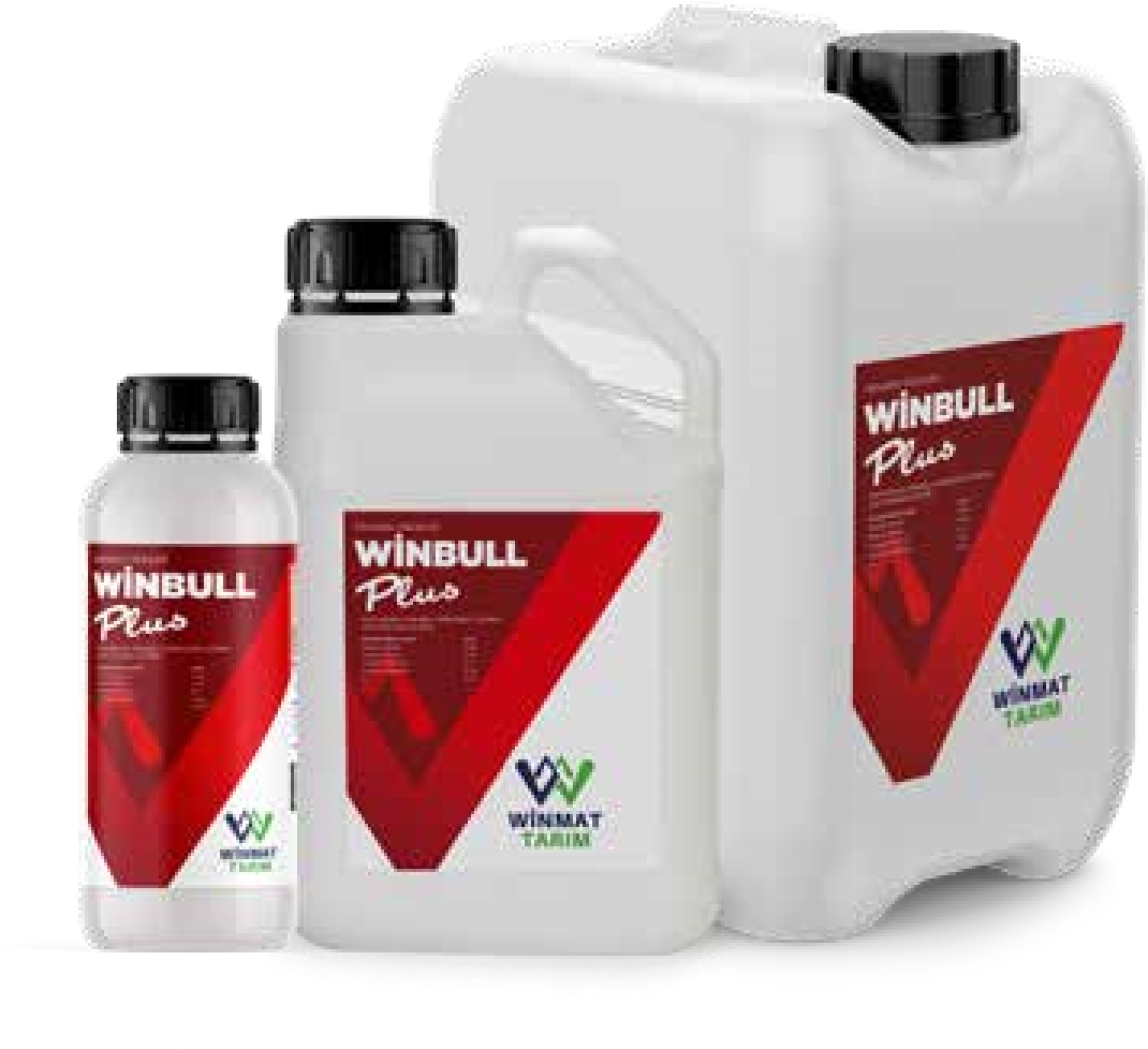 winbullplus2